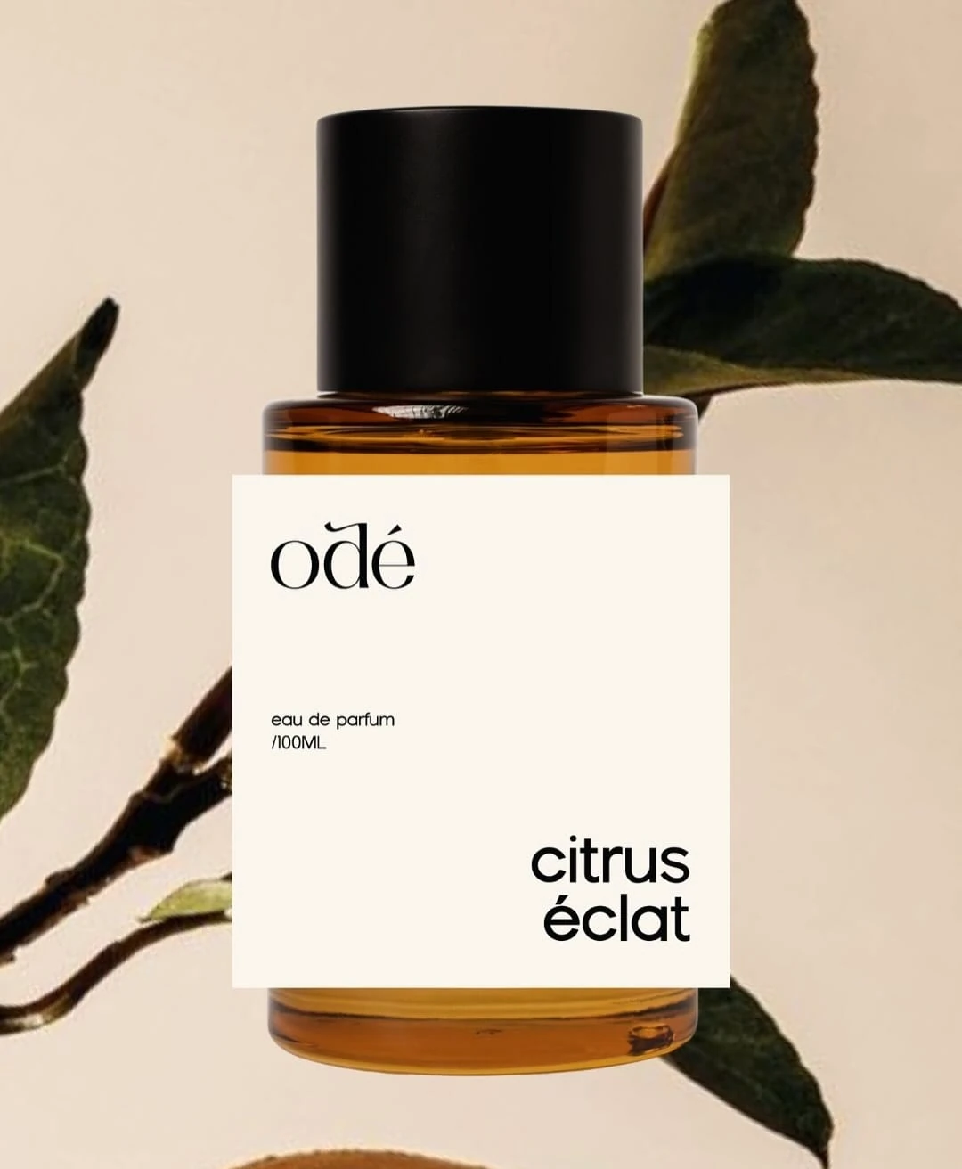 Citrus Éclat