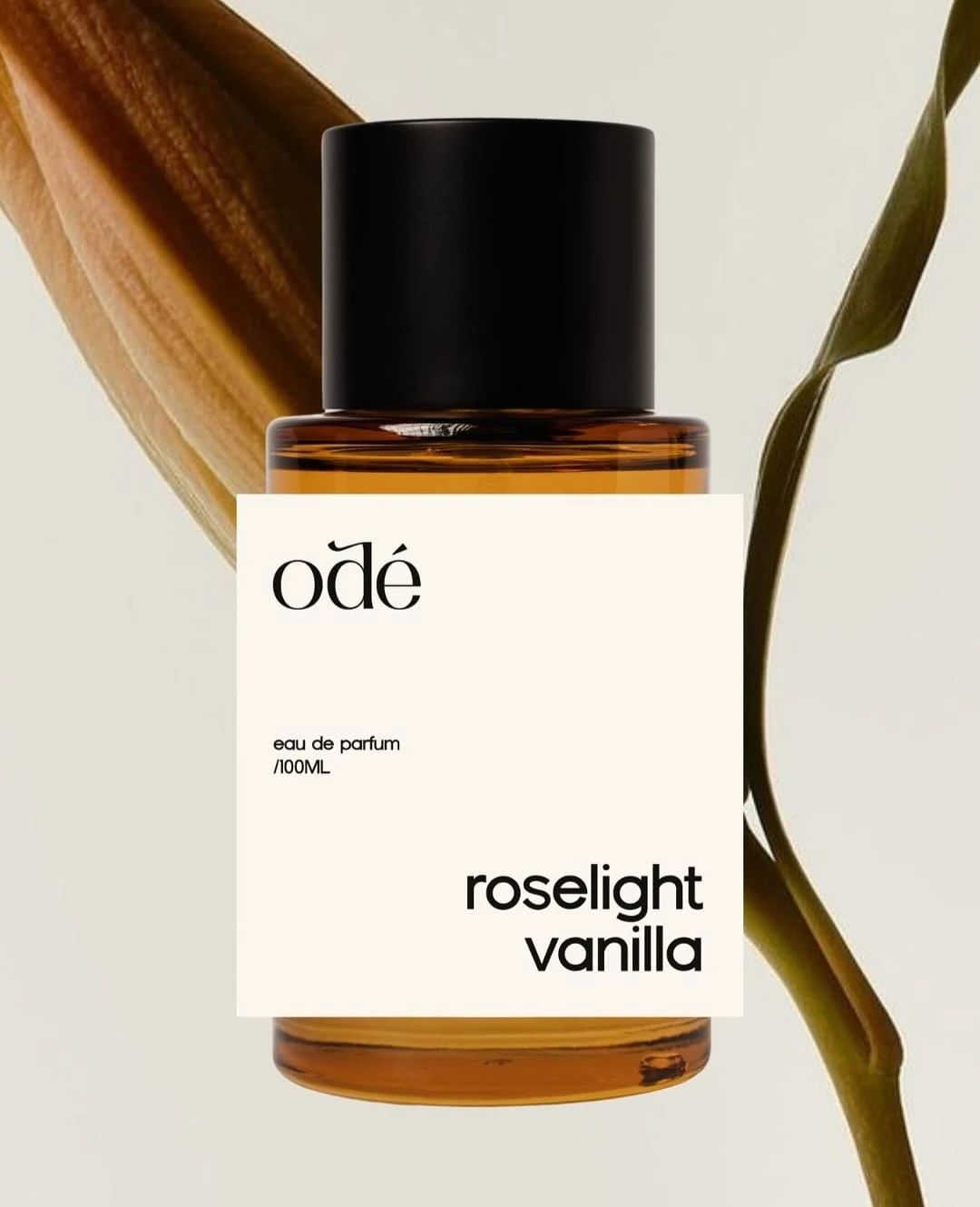 Roselight Vanilla